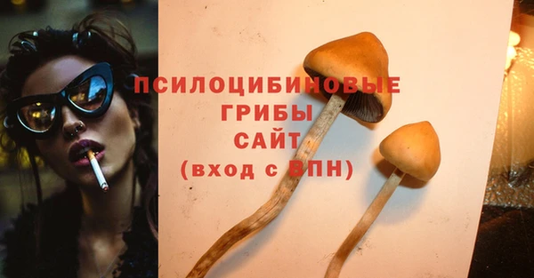 тгк Белокуриха