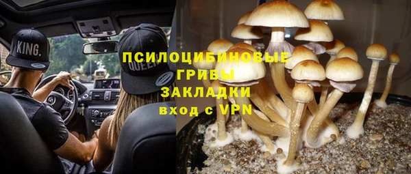 тгк Белокуриха