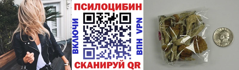 где купить наркоту  МЕГА ONION  Галлюциногенные грибы мицелий  маркетплейс как зайти  Магас 